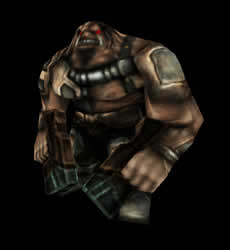 Brute