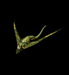 Manta