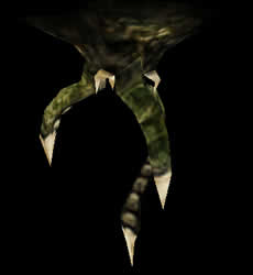 Tentacle